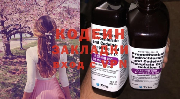 прущие крисы Бородино