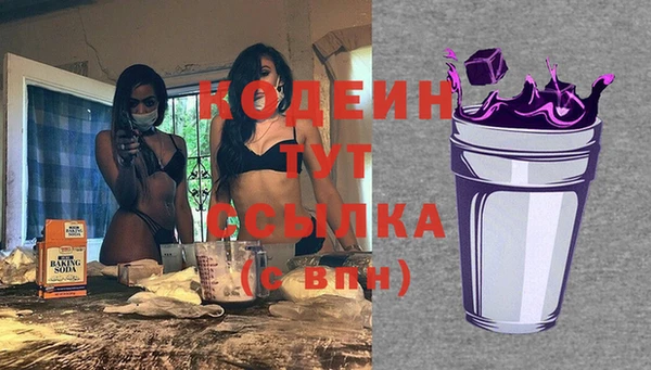 прущие крисы Бородино