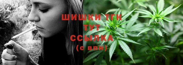 прущие крисы Бородино