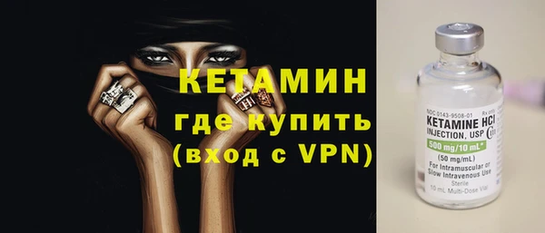 прущие грибы Каменногорск
