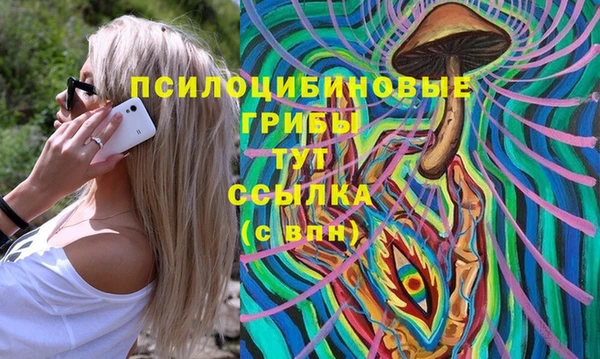 герыч Бронницы