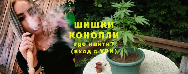 прущие крисы Бородино