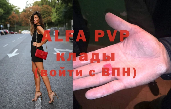 прущие крисы Бородино