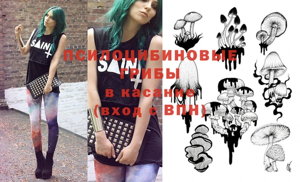 прущие крисы Бородино