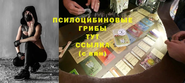 прущие крисы Бородино