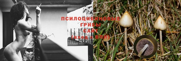 первитин Заводоуковск