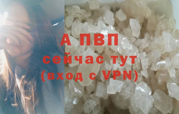 прущие крисы Бородино