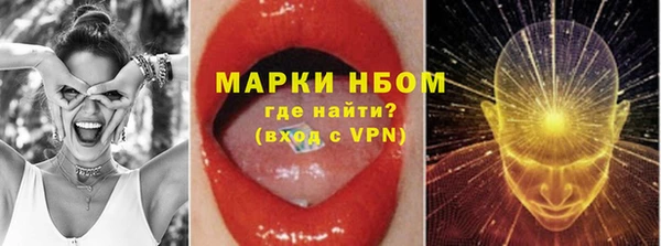 прущие крисы Бородино