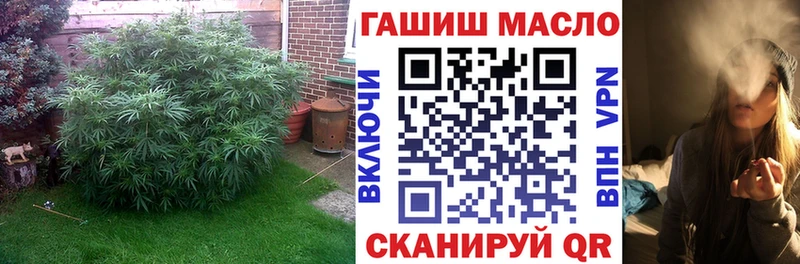 darknet как зайти  Котовск  ТГК вейп с тгк  ОМГ ОМГ сайт 