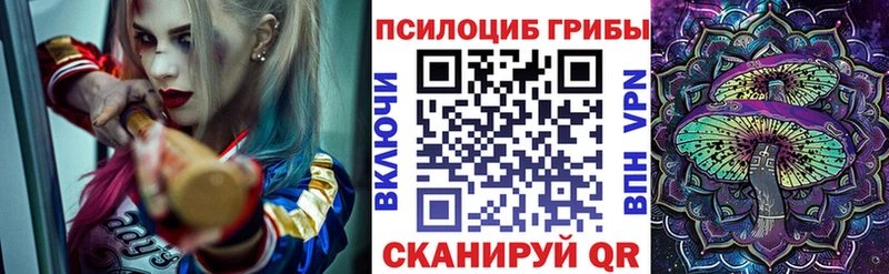 Галлюциногенные грибы Psilocybe  Котовск 